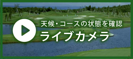 ライブカメラ